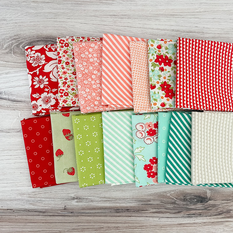 Wallflower by Hope Johnson for Cotton and Steel Half Yard Bundle